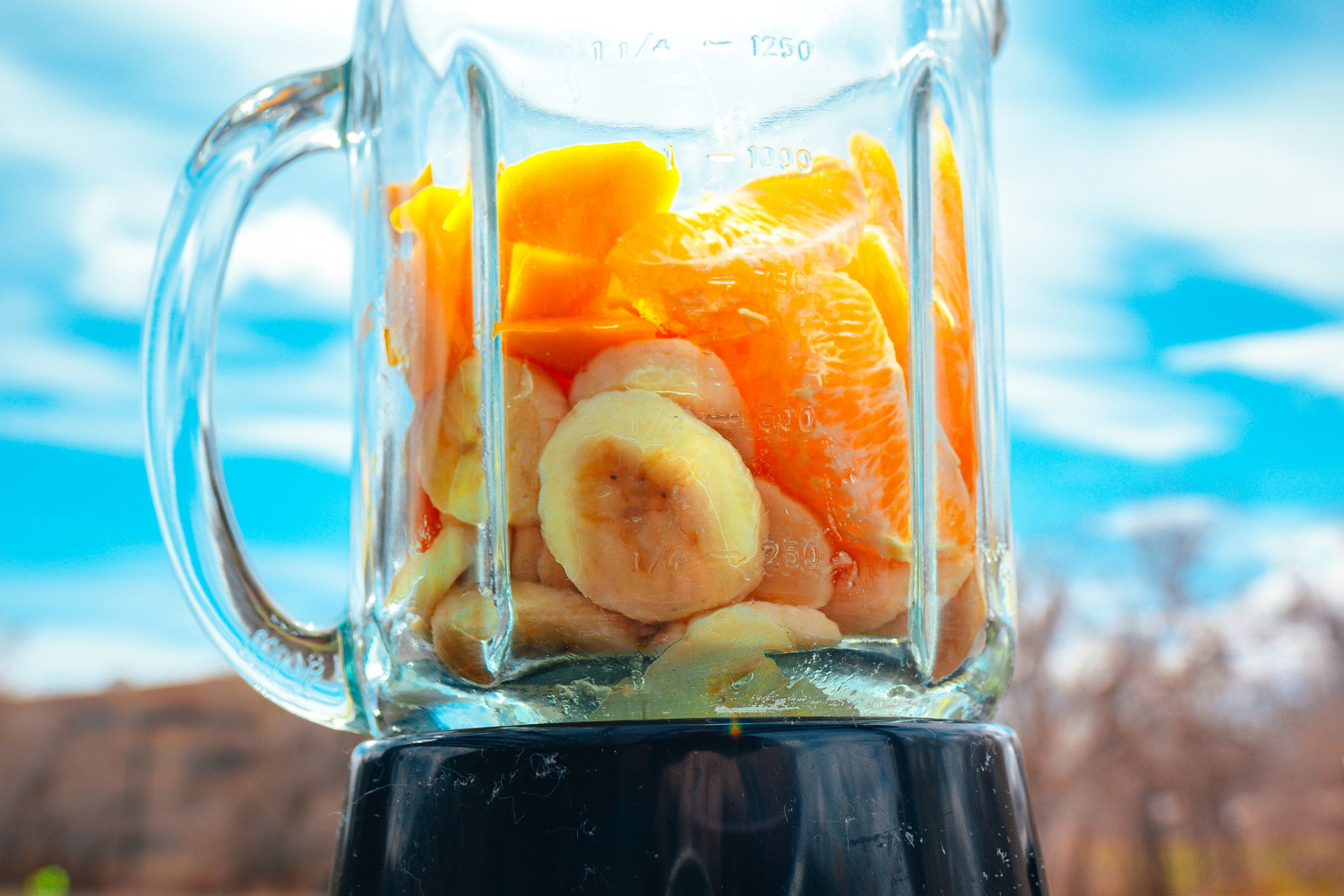 Fruit in clear blender against blue sky and wood scenery. 