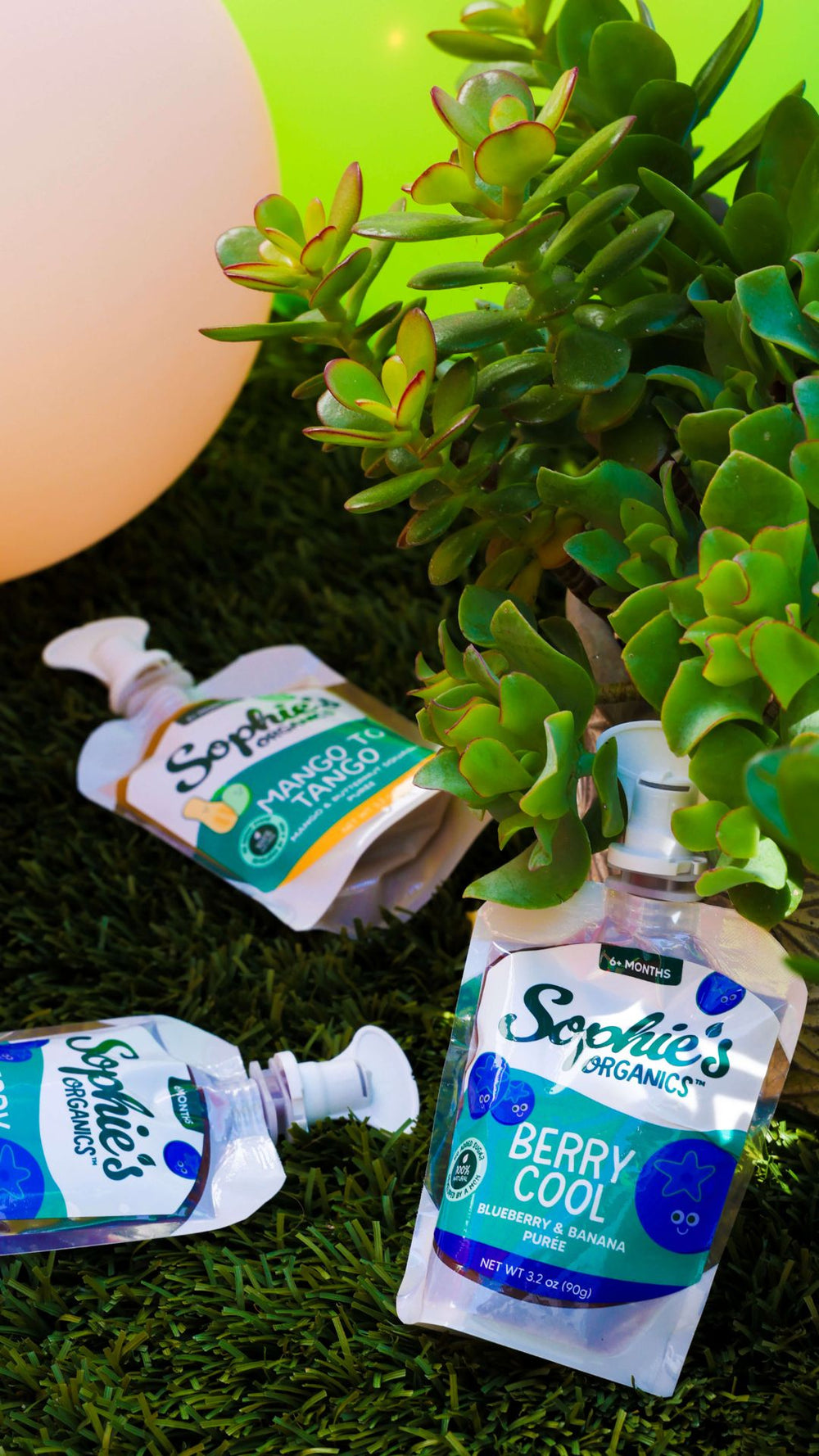 Sophie's Organics pouches upclose shot